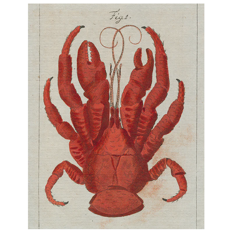 Lobster Top (p 35)