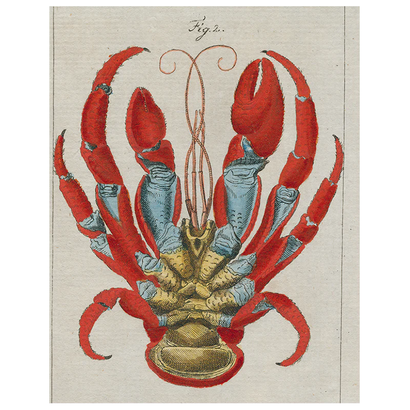Lobster Bottom (p 36)