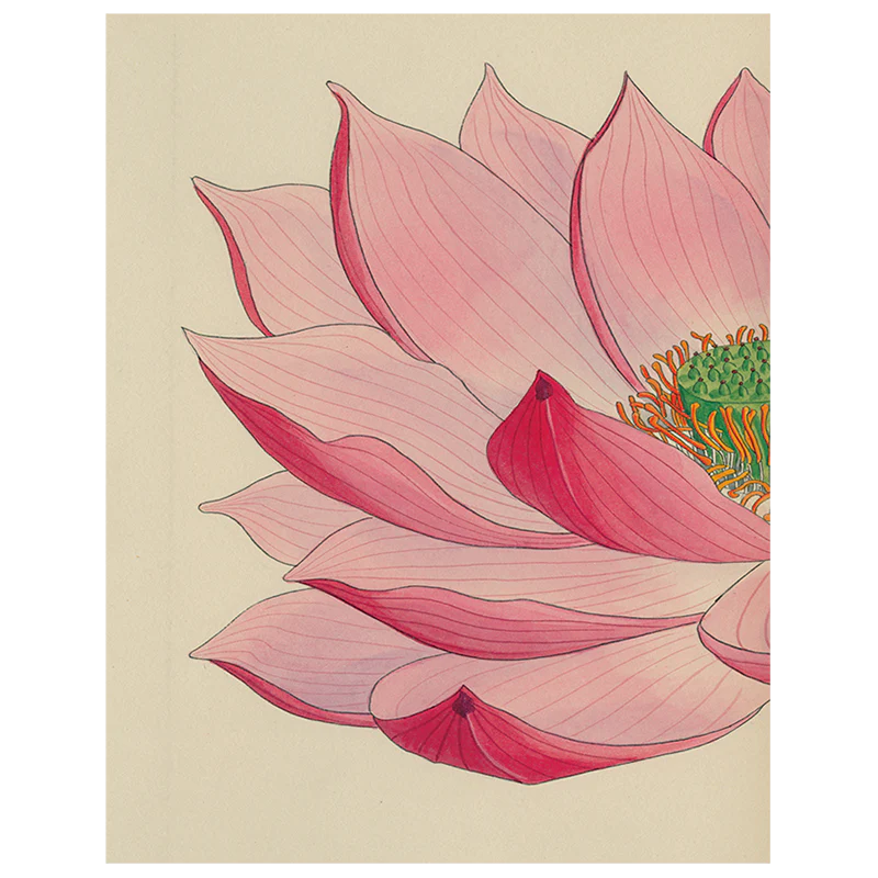 Painted Lily (p 37)