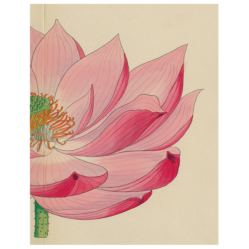 Painted Lily (p 38)