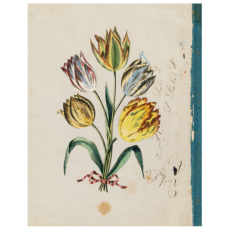 Tulip Collage (p 43)