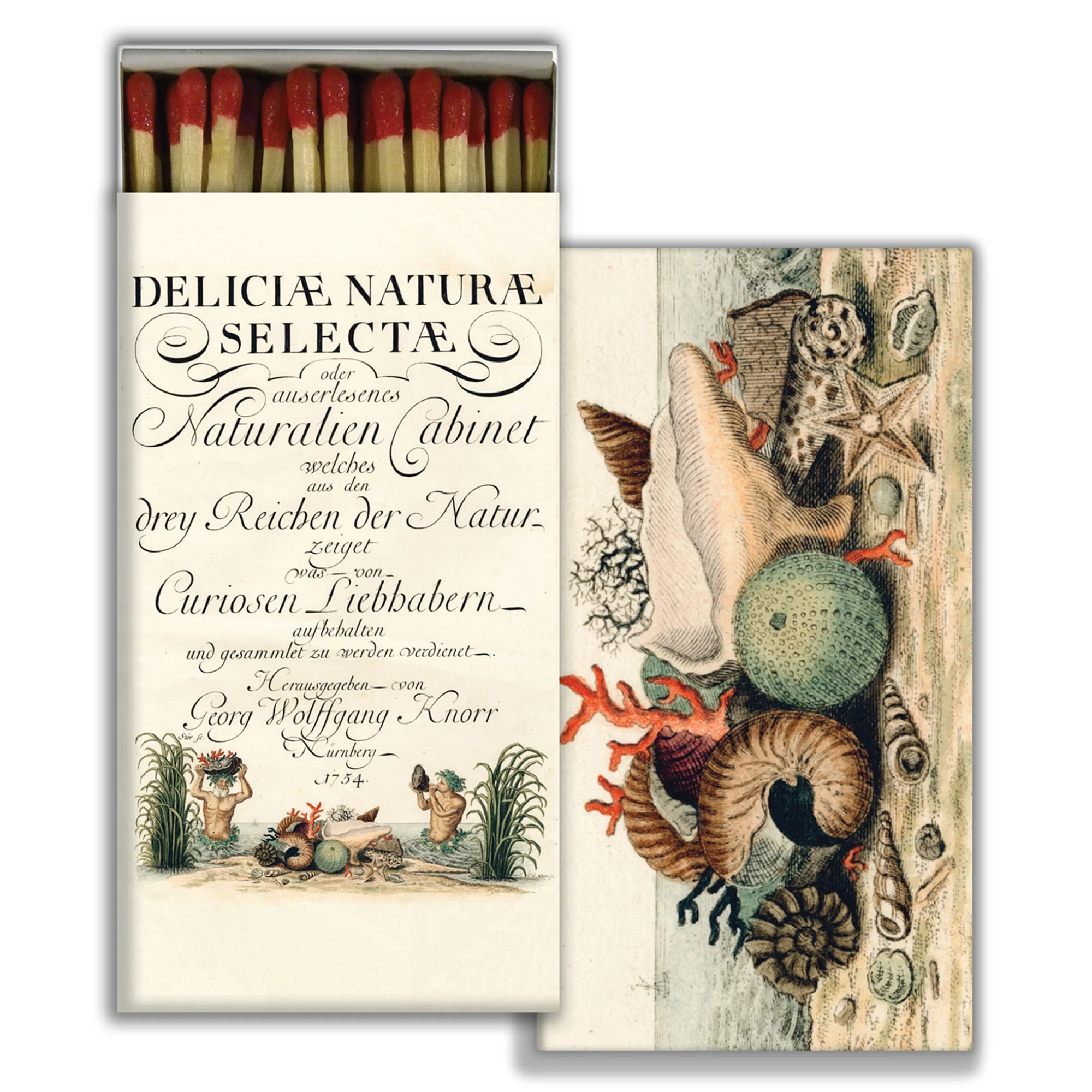 Shells 1775 - Red