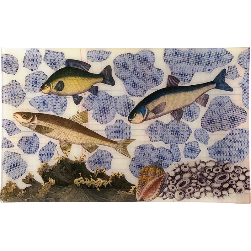 3 Fish (Collage)