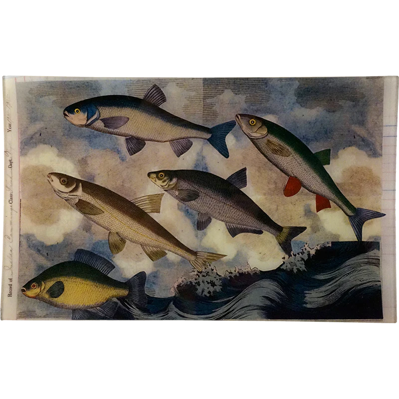 Flying Fish 1 (Collage)