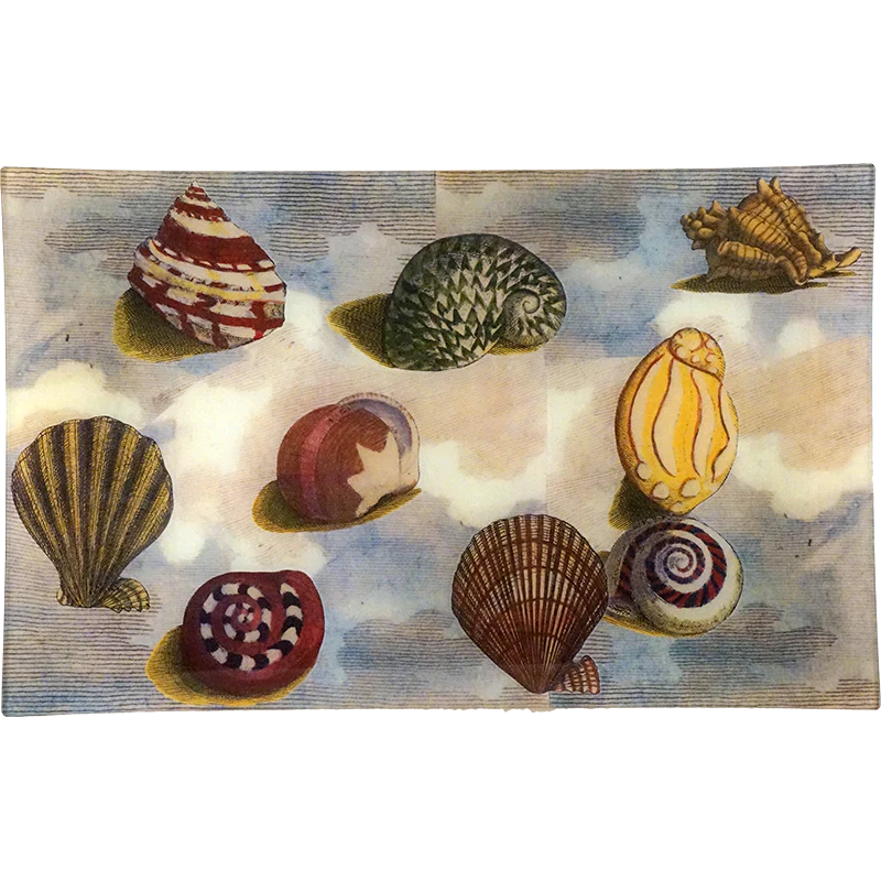 Nautilus (Collage)