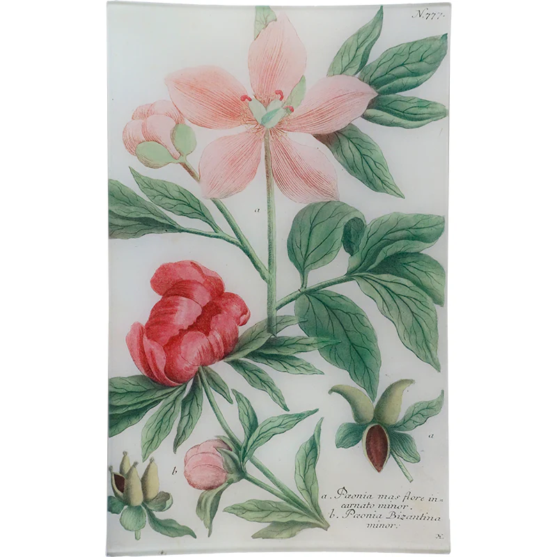 N. 777 Byzantine Peony
