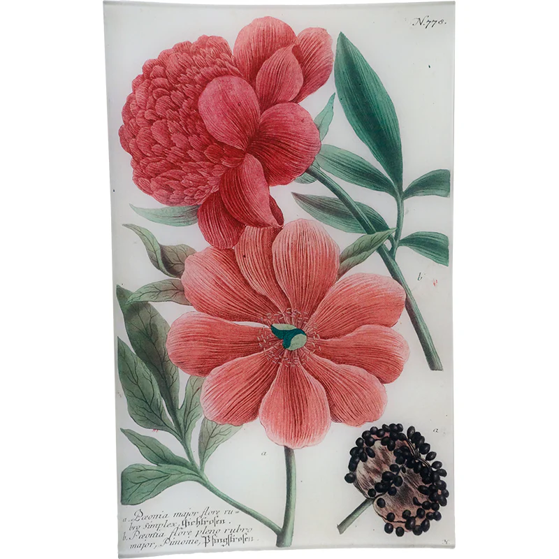 N. 778 Red Peony