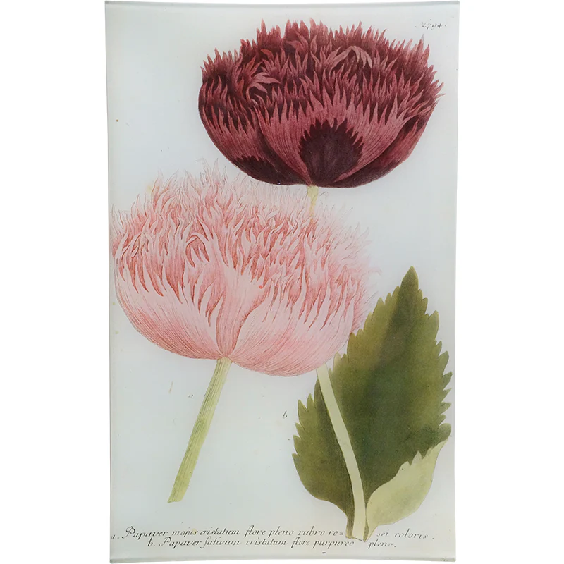 N. 794 Crested Poppy