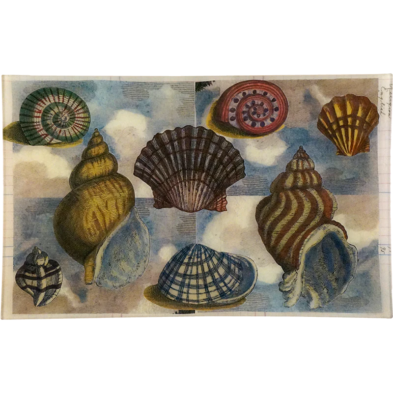 Scallop (Collage)