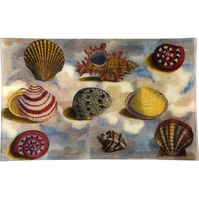 Scallops on Sky (Collage)