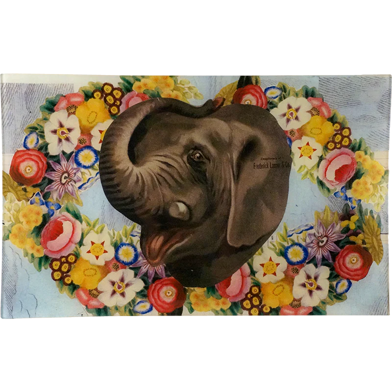 Tusk Up (Collage)