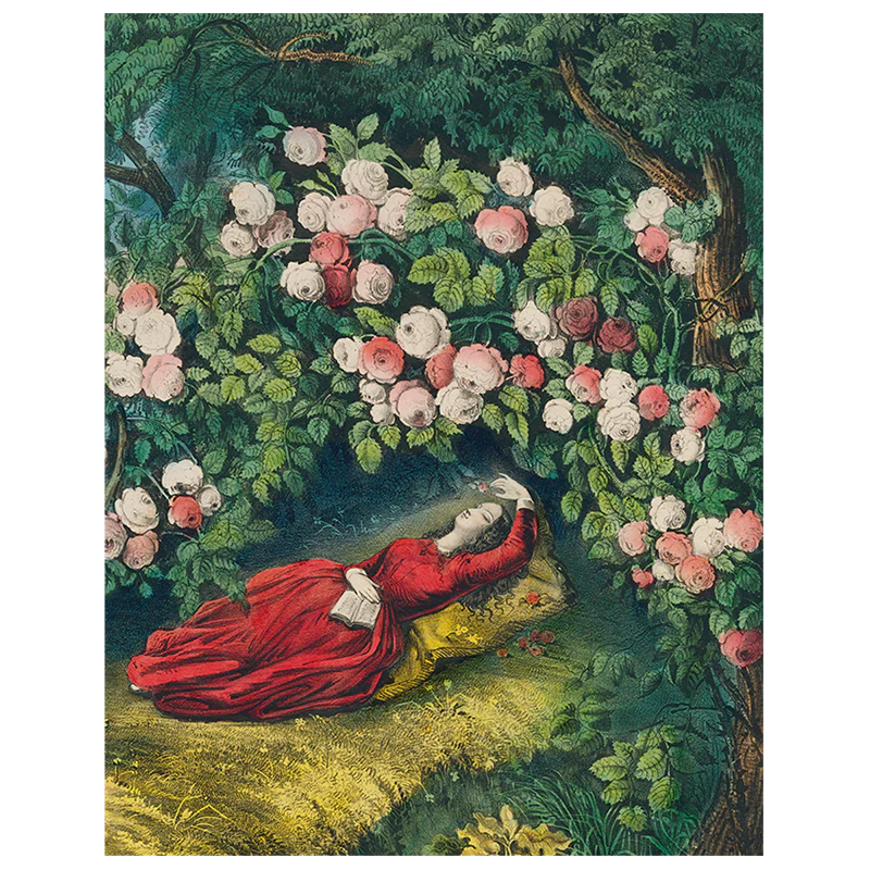 Sleeping Beauty (p 100)