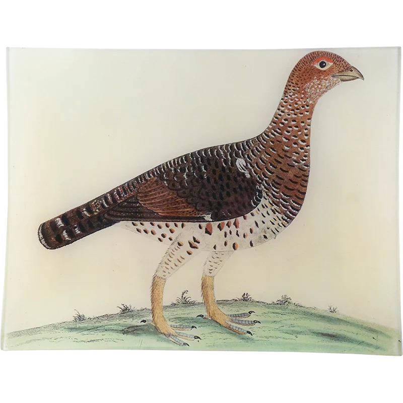 #46 - Moscovian Game Cock