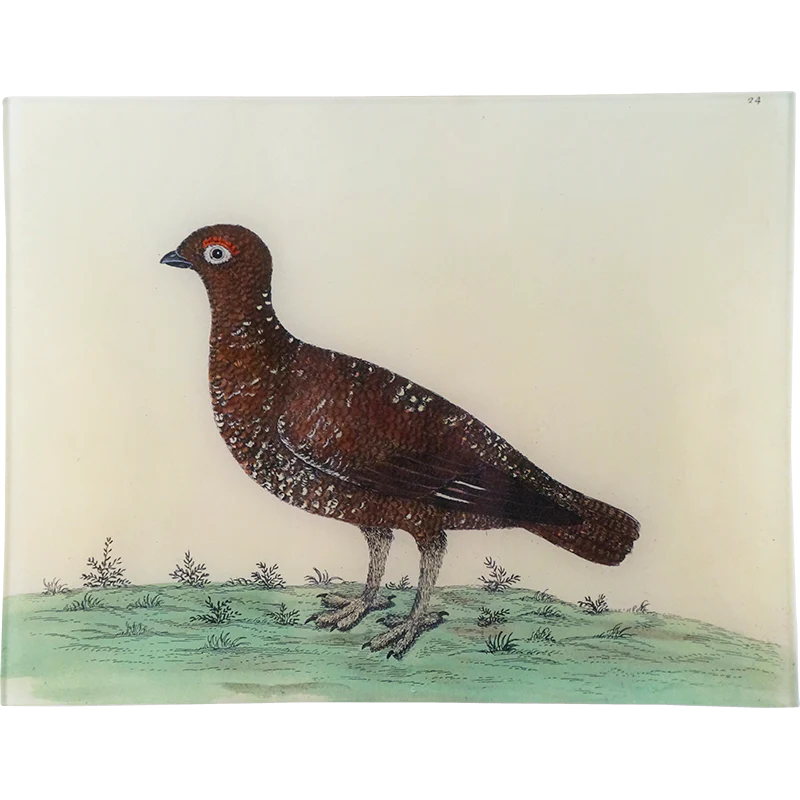 #54 - Red Game Hen