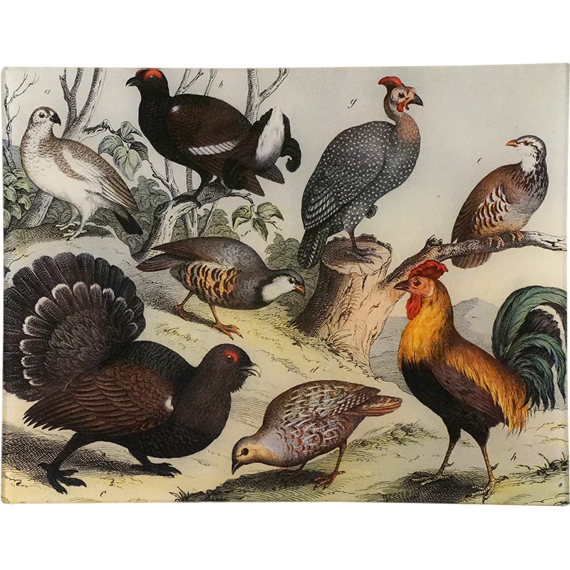 Birds XXII