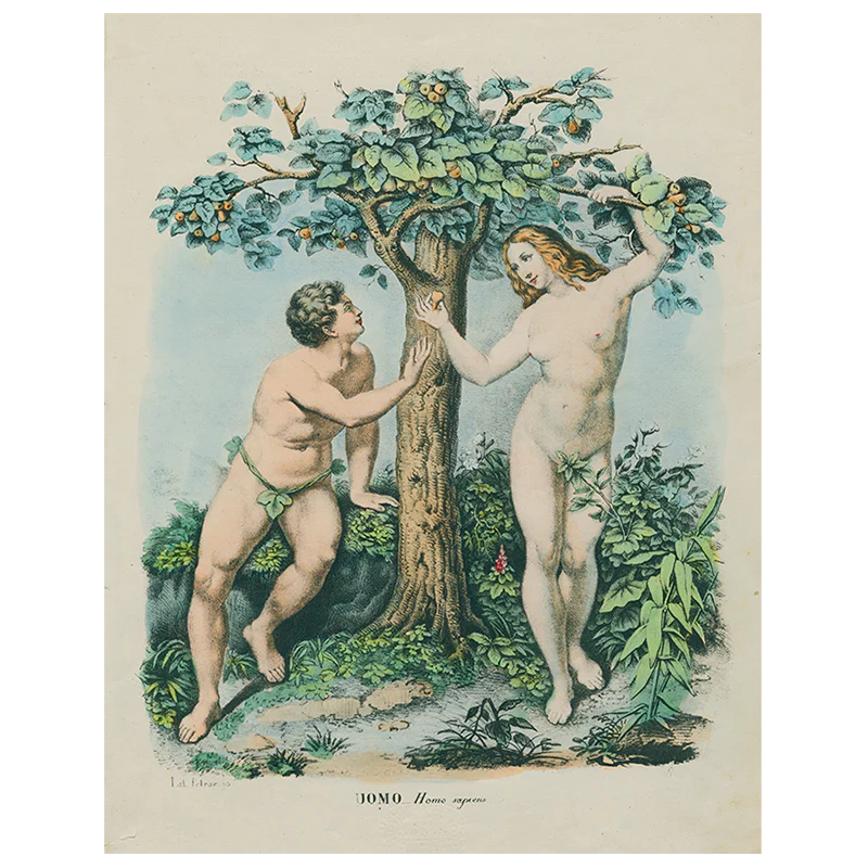 Adam and Eve - Uomo (p 129)