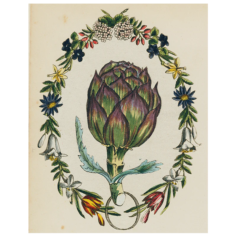 Artichoke (p 135)
