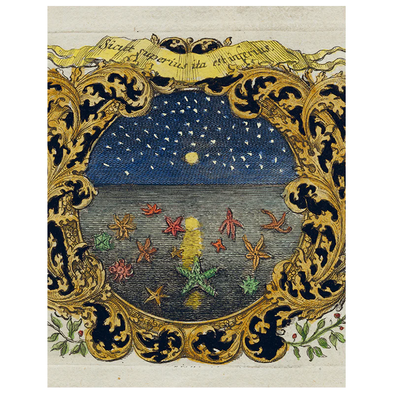 Starfish & Starry Night (p 162)