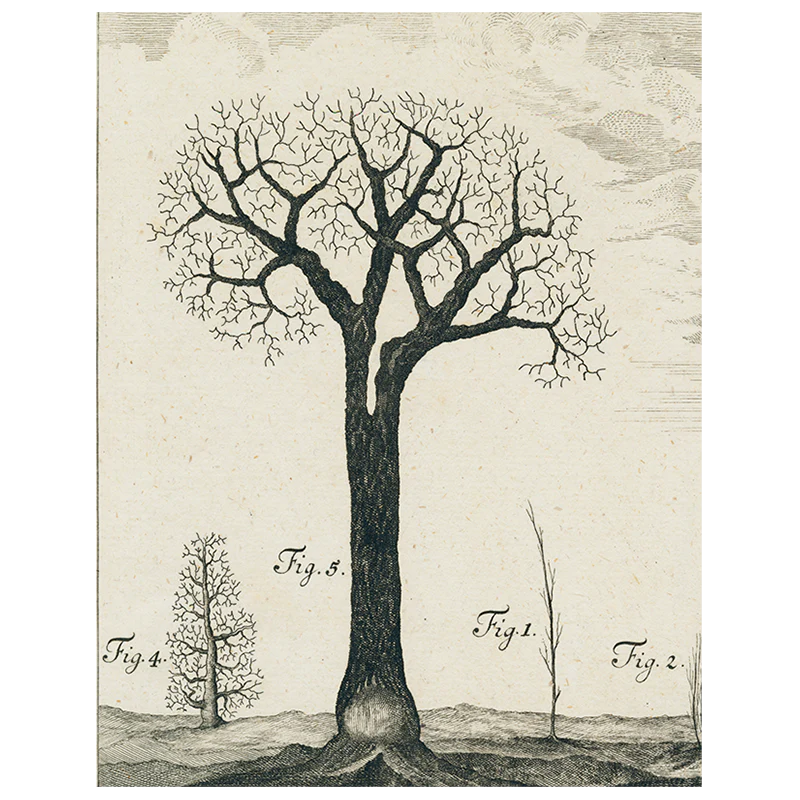Winter Tree (p 165)