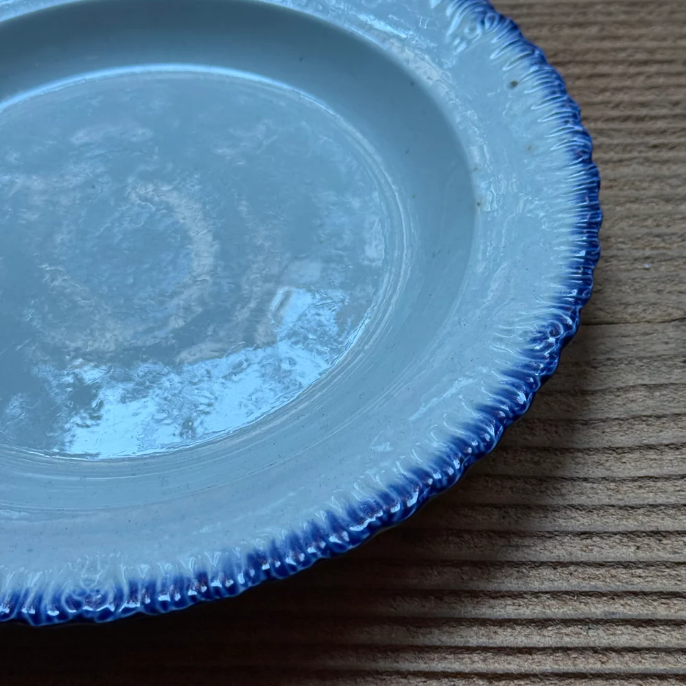 19th-century Blue Feather Edge Ironstone Plate (D) - Image 5