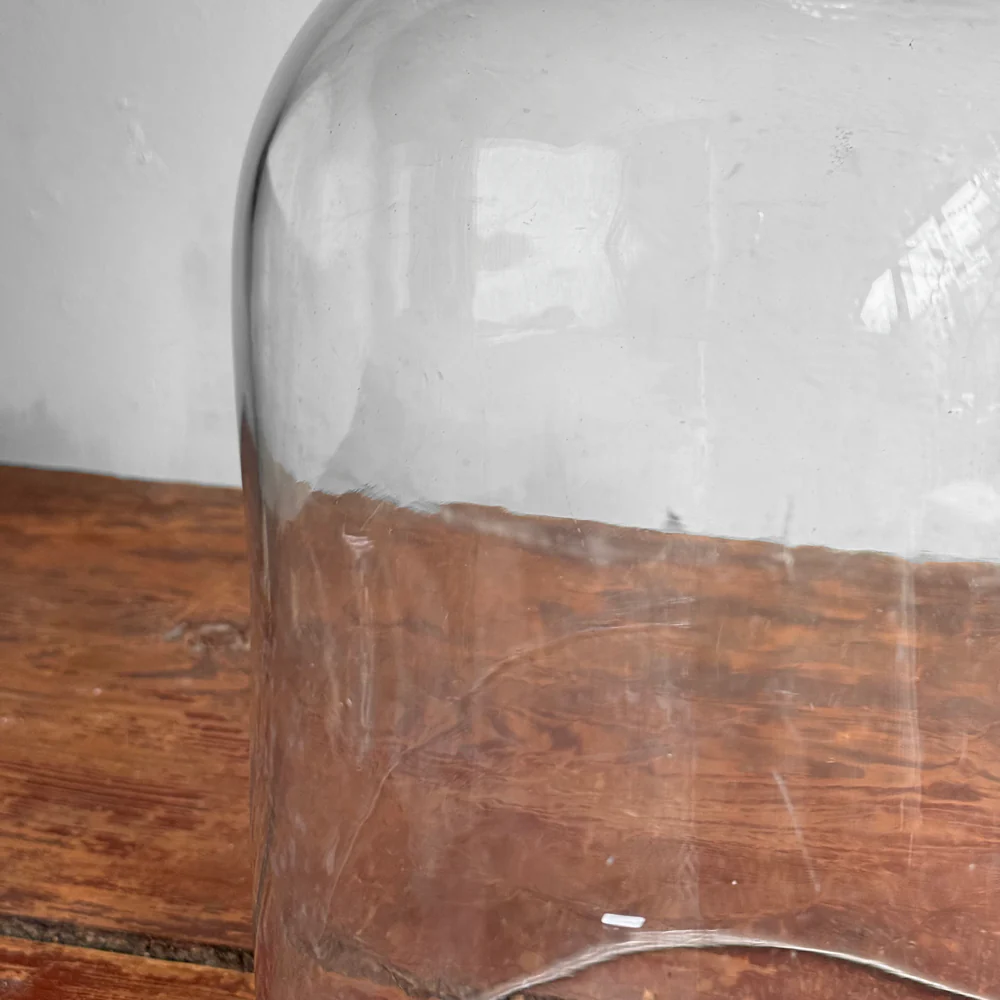 19th-century French Glass Cloche (CC01) - Image 4