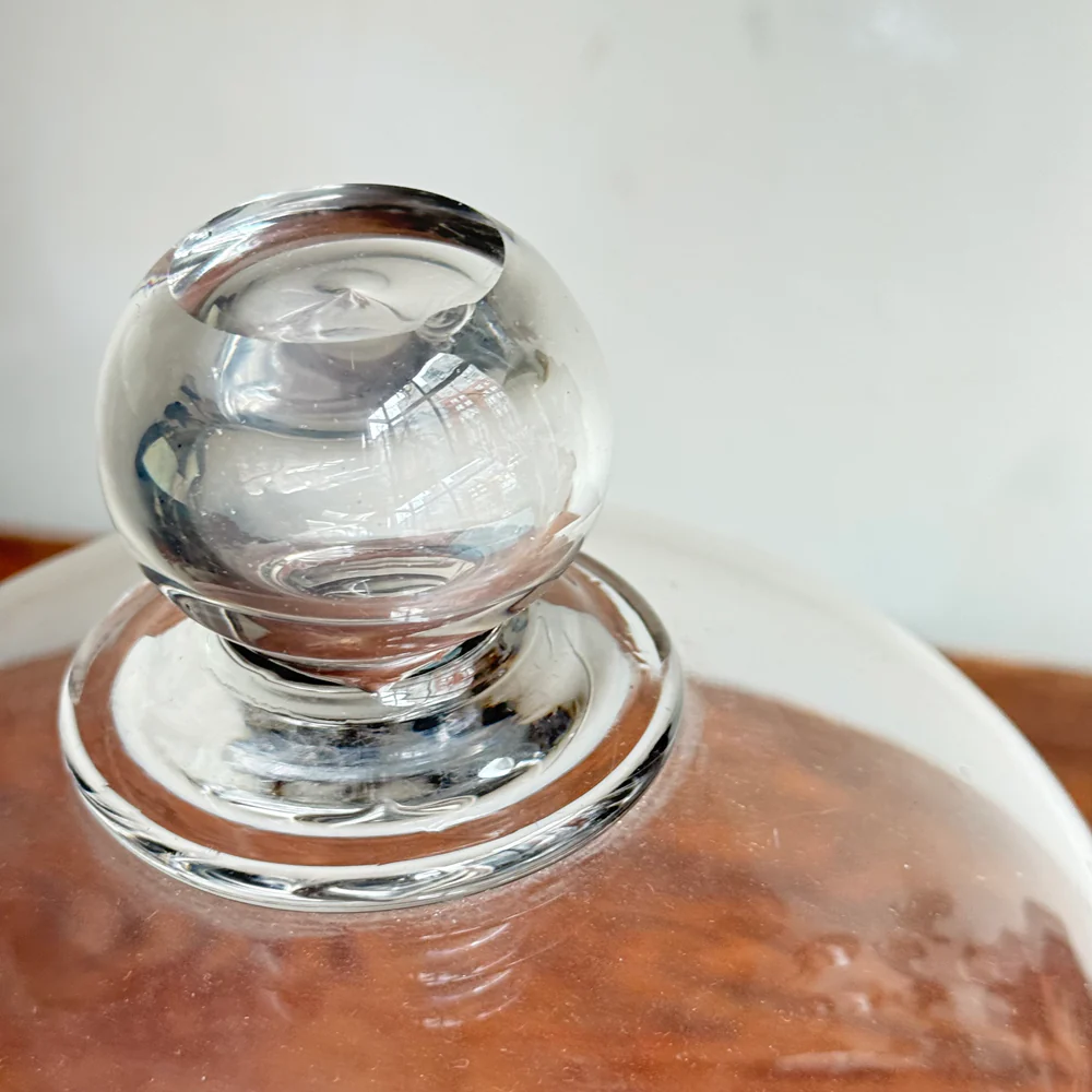 19th-century French Glass Cloche (CC02) - Image 3