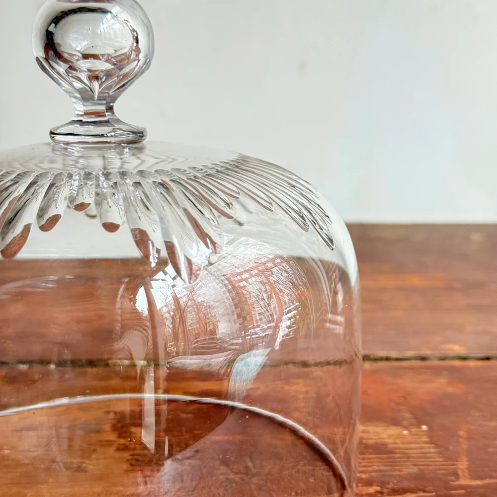 19th-century French Glass Cloche (CC04) - Image 5