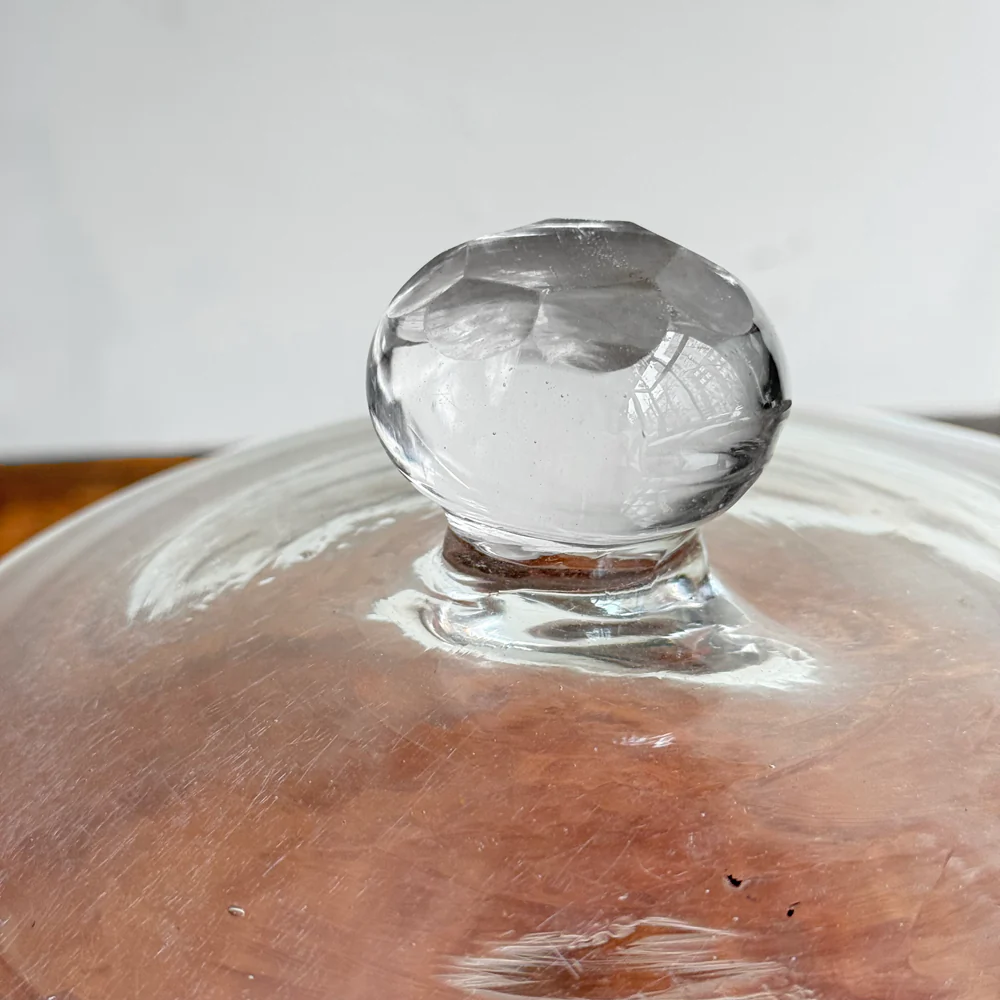 19th-century French Glass Cloche (CC07) - Image 3