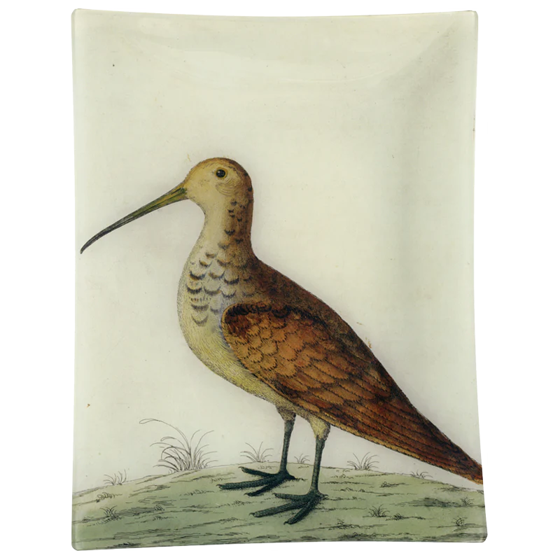 #22 - White Woodcock