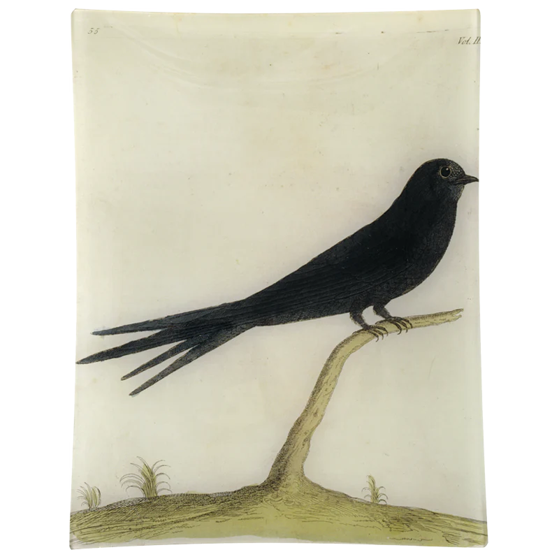 #23 - Swift Bird