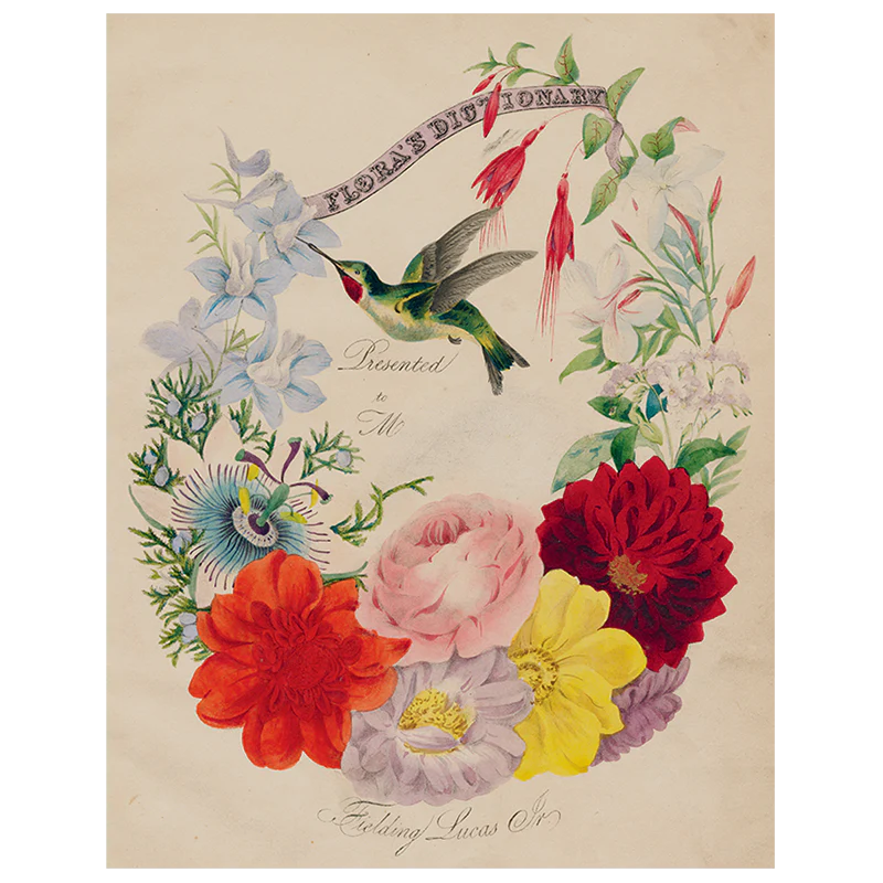 Flora's Dictionary (Hummingbirds) (p 262)