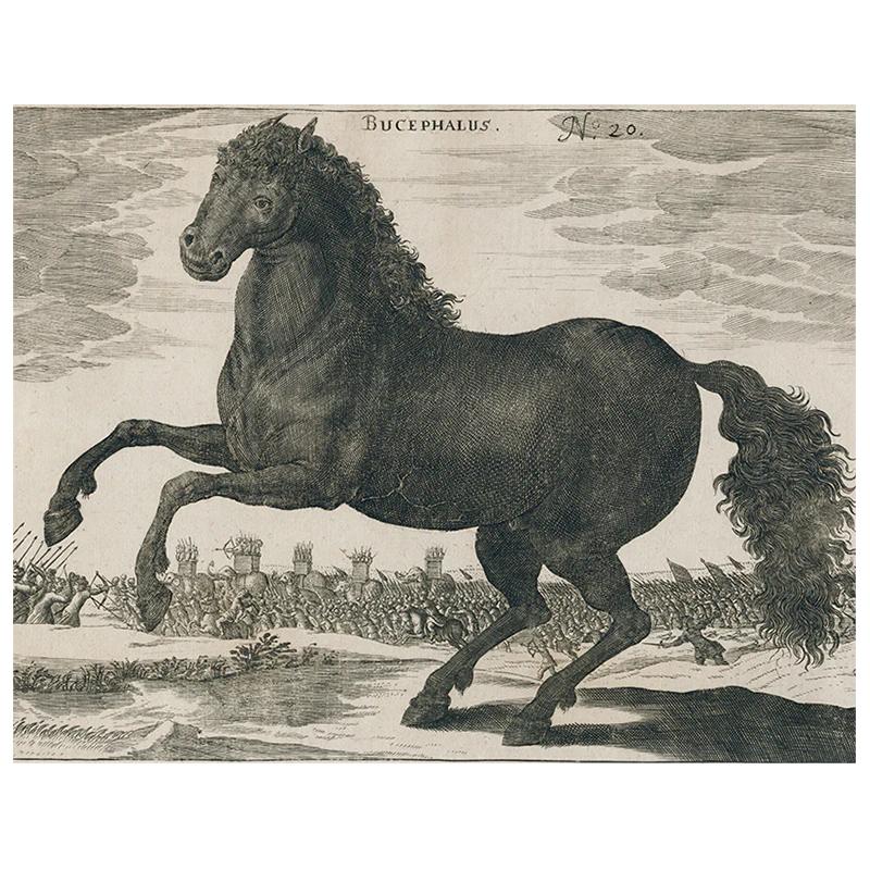 Black Horse (p 269)