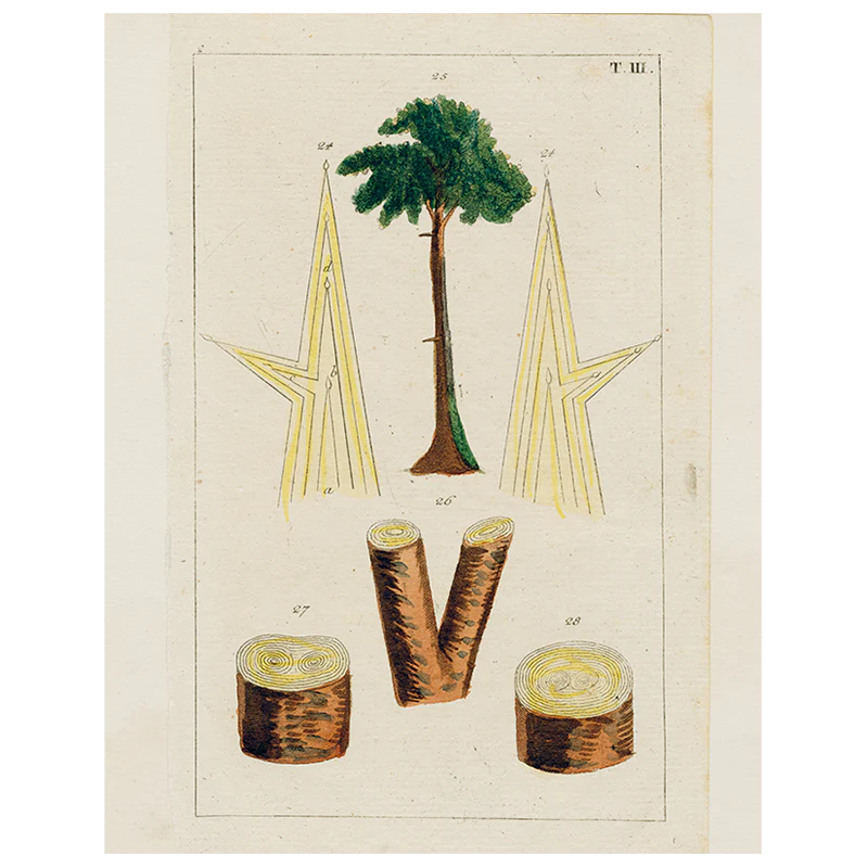 Tree (p 274)