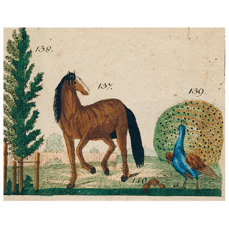 Horse and Peacock (p 277)