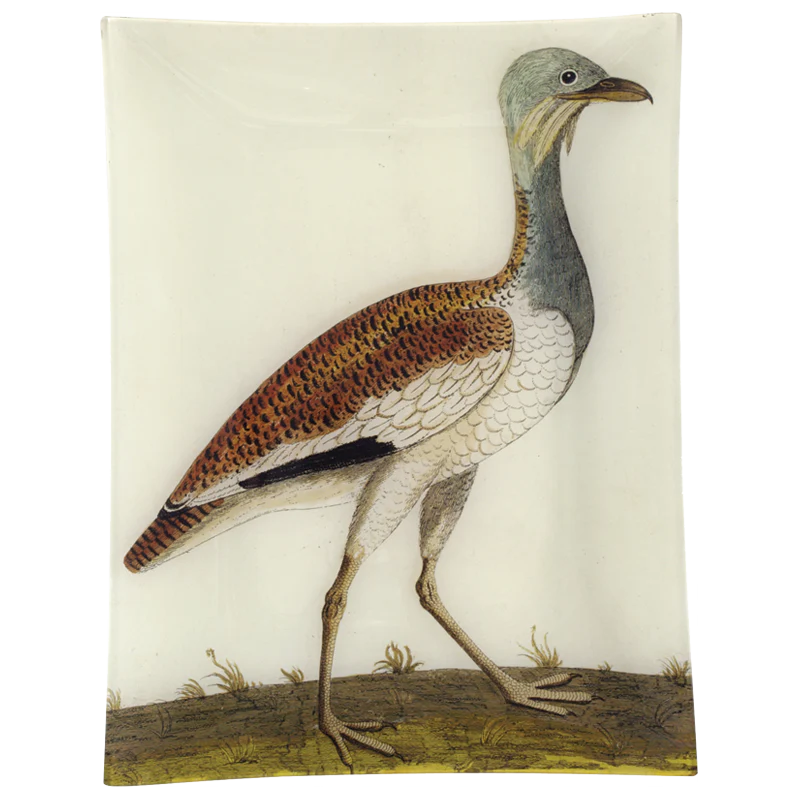 #3 - Female Bustard
