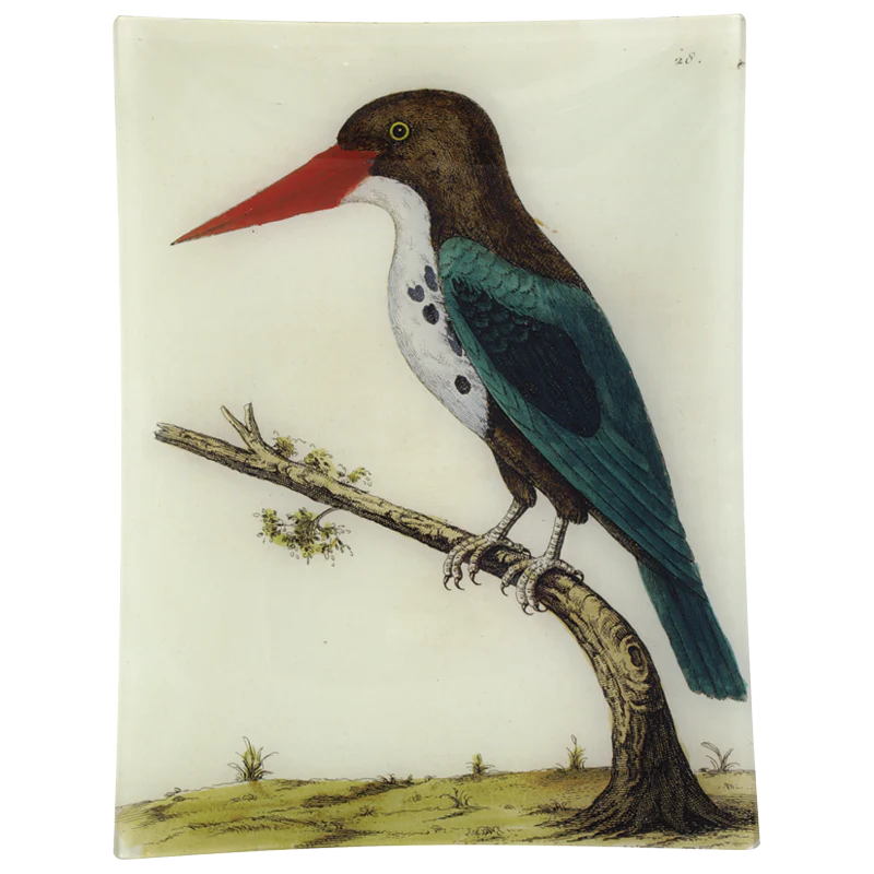 #31 - Green Bengali Bird