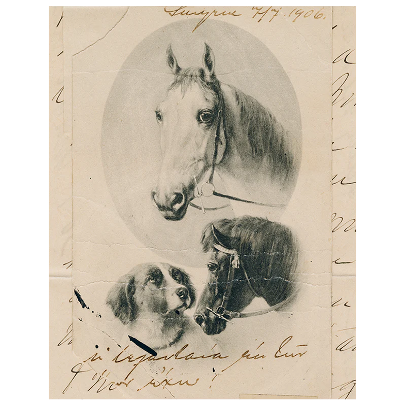 Dog with Horses (p 306)