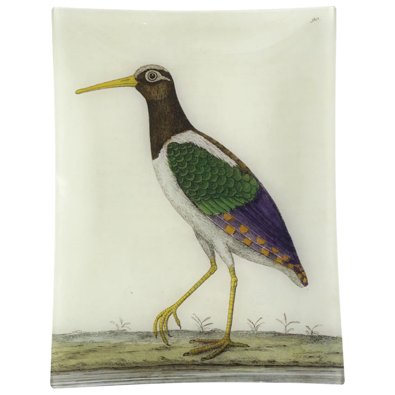 #34 - Water Rail