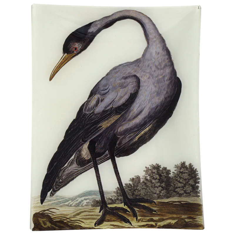 #36 - Crane