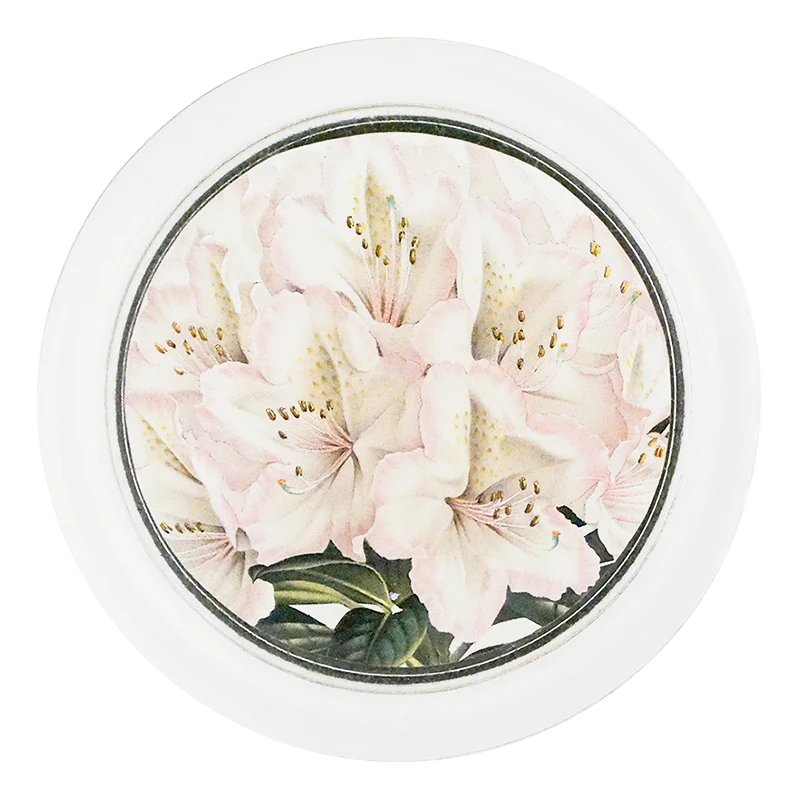 Rhododendron Madame Louis