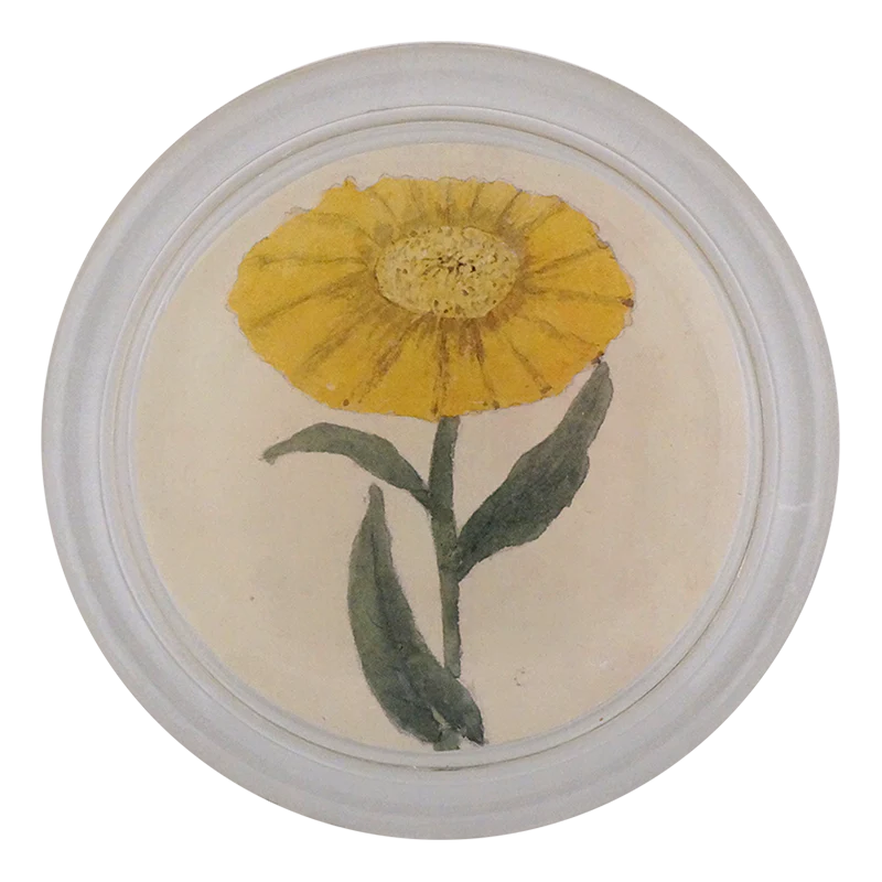 Yellow Flower