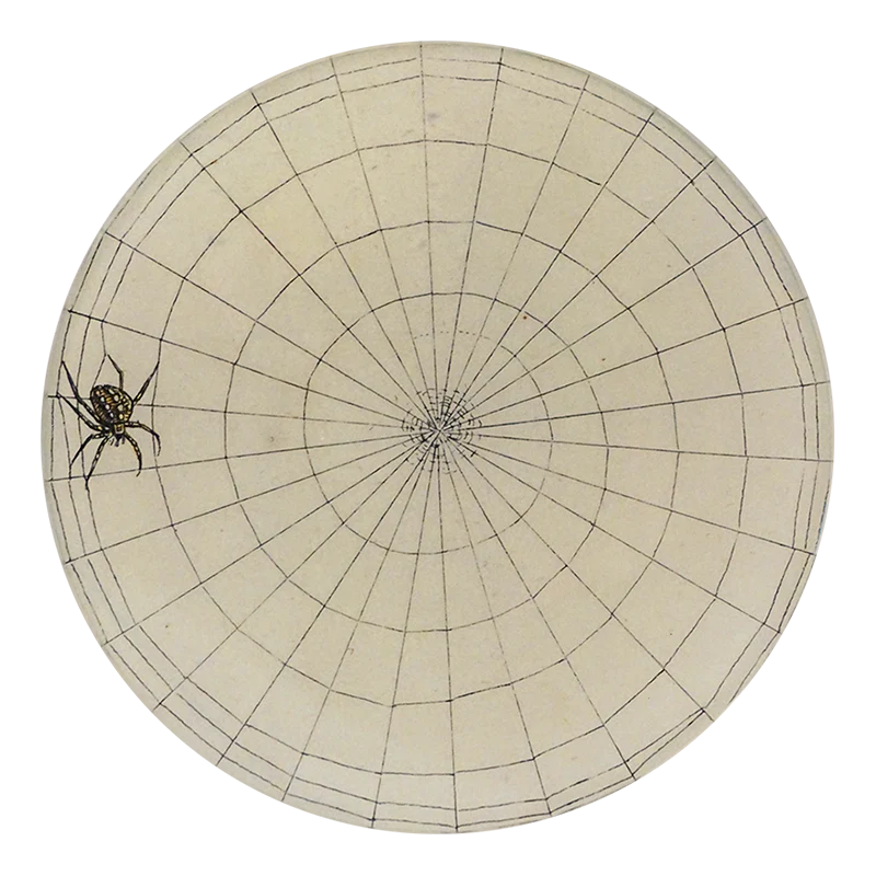 Large Web