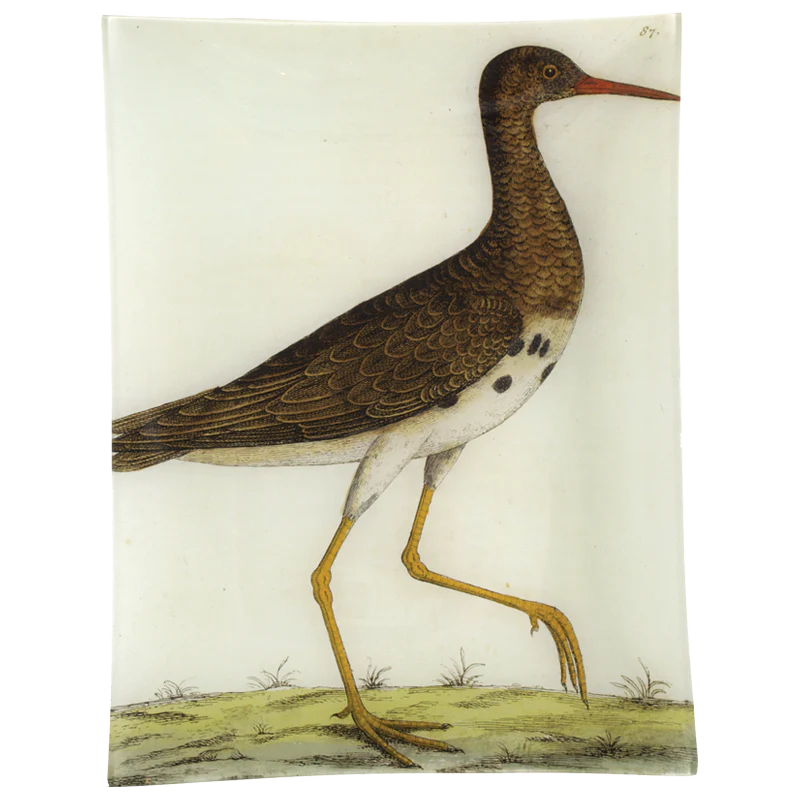 #5 - Loole Snipe