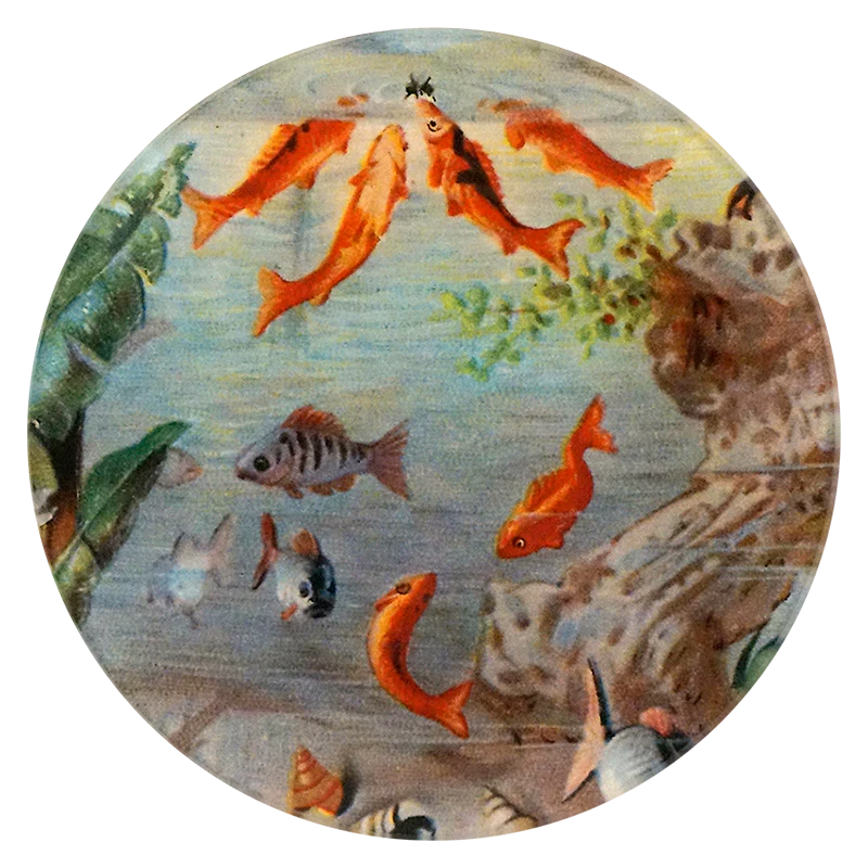 Aquarium