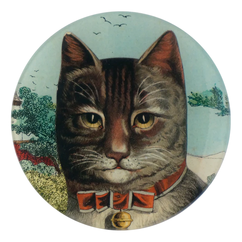 Country Cat