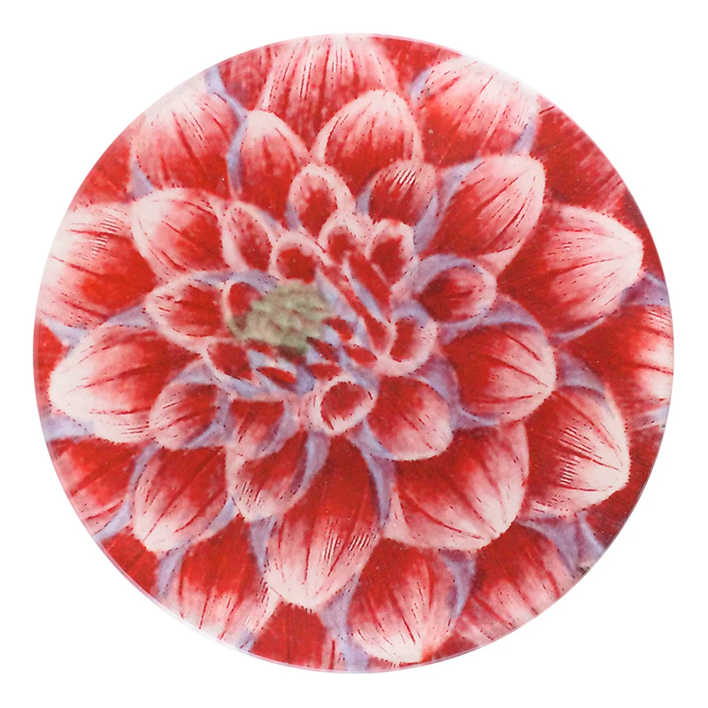 Dark Pink Dahlia