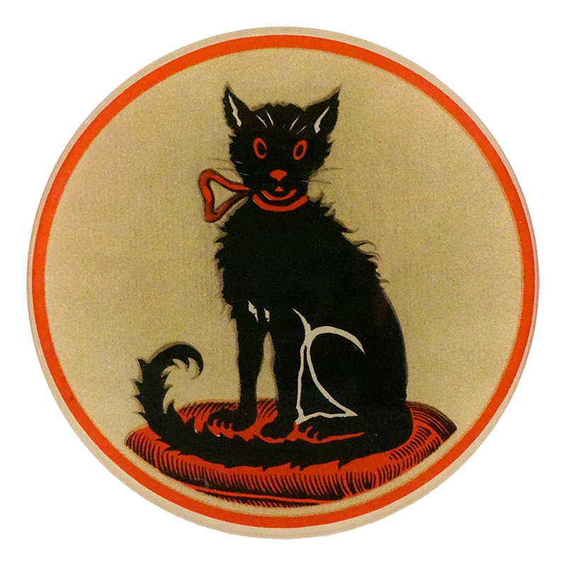 Good Luck To You Black Cat