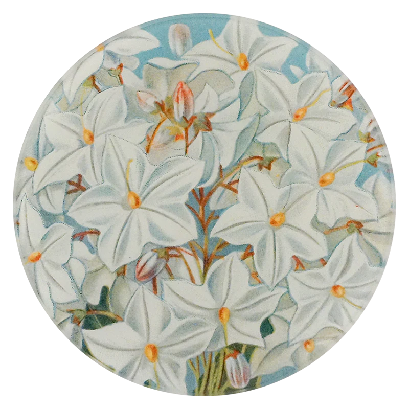 Grandiflora