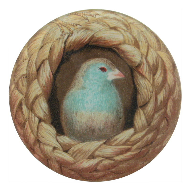 Nested Wax Bill