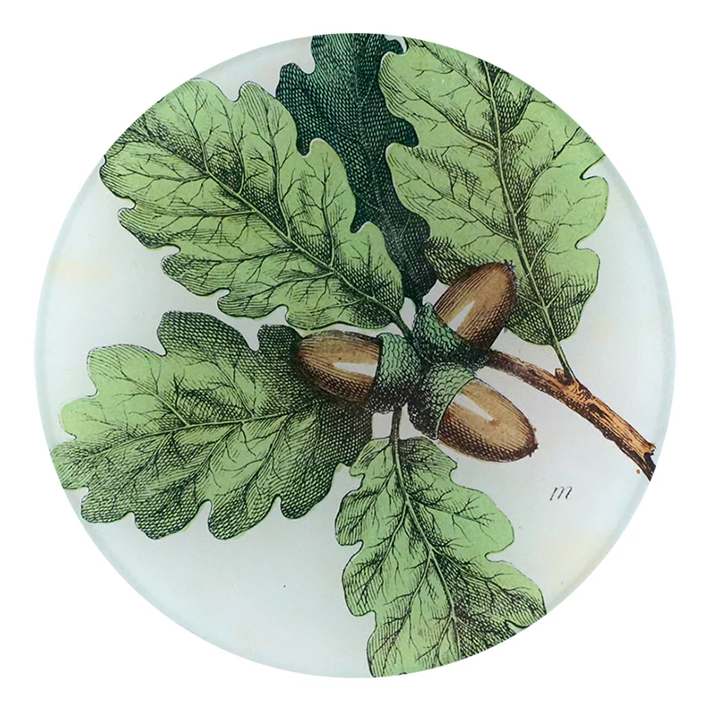 Oak